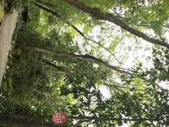 -凤栖山