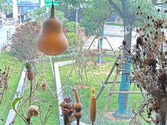 -野草莓自由市场