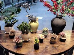 -泉畔人家·老济南经典鲁菜(大明湖店)