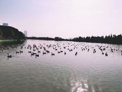 -艾溪湖湿地公园