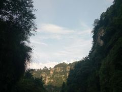 -庐山碧龙潭风景区