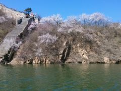 -辛玛王国游乐园