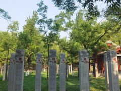 -大槐树寻根祭祖园