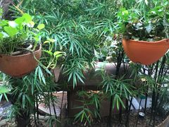 -世外桃源农庄·德清土菜(兴康南路店)