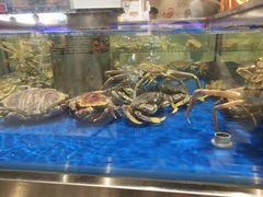 -盒马鲜生(顺义店)