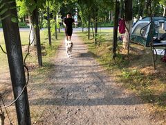 -上海长兴岛郊野公园