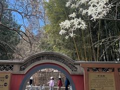 -潭柘寺景区