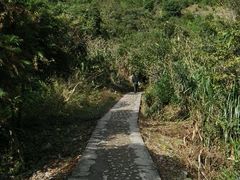 -花岙岛