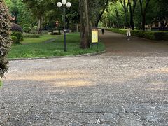 -桂林独秀峰王城景区