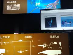 -同济大学四平路校区深海探索馆