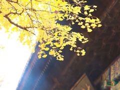 -红螺寺