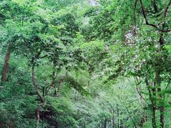 -中国茶叶博物馆(双峰馆区)