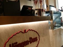 -哈根达斯(朝阳大悦城店)