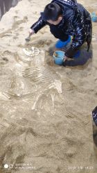 -恐龙探索乐园(磁器口店)