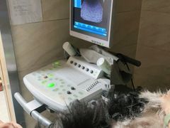 -安安宠医·安宠宠物医院