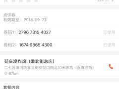 -延庆观炸鸡(淮北街总店)