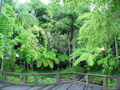 -布里斯班南岸公园