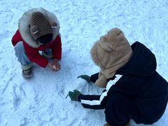 -宁波五龙潭景区