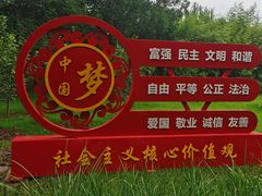-大望京公园
