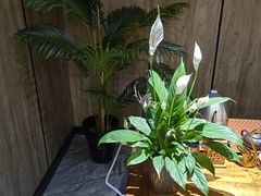-神洲四海大酒楼(王府井澳门中心店)