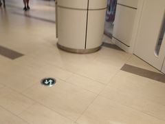 -琴岛之星摩天轮