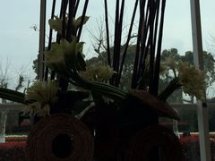 iphone_upload_pic-上海鲜花港