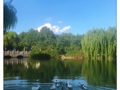 -东华大学(松江校区)