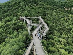 -黄龙山原始森林景区