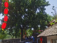 -百花人家(清水田园店)