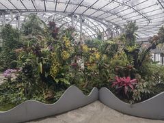 -北京植物园-展览温室