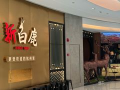 -新白鹿餐厅(虹桥南丰城店)