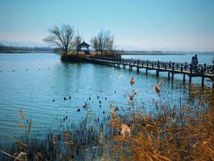 -野鸭湖国家湿地公园