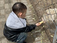 -长白岛森林公园