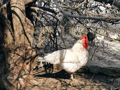 -南京金牛湖风景区