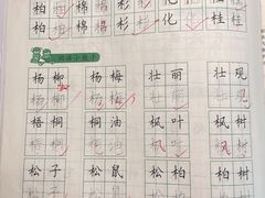 -赵汝飞练字硬笔书法(静安寺校区)