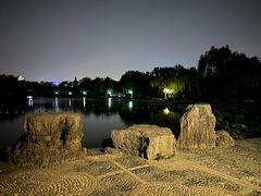 -洛阳市隋唐城遗址植物园