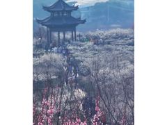 -南京市无想山景区