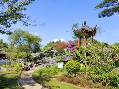 -顺峰山公园