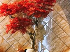 -红辣椒·川菜·火锅(朝外店)