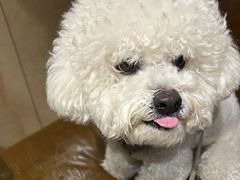 -老白清真烧烤(旗舰店)