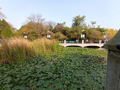-大连植物园
