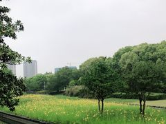 -蠡湖大桥公园