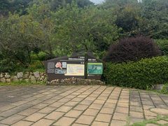 -雁南飞茶田景区