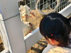 -菊园百果园
