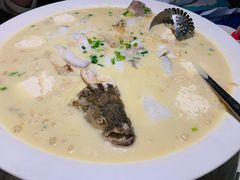 豆味豆花鲈鱼-川味堂·四川豆花(八卦岭店)