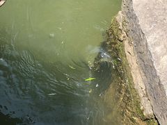 -天河潭旅游度假区