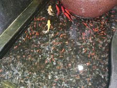 -权品·权金城沐浴连锁(良乡店)