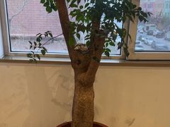 -映像威海·海鲜味道(经区店)