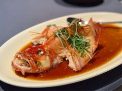 清蒸东星斑-晶采轩(虹桥路店)