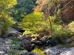 -云岫谷自然风景区